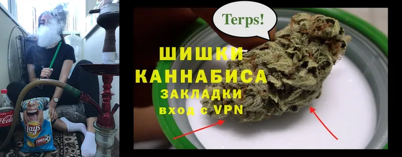 купить   Дзержинский  Бошки марихуана Amnesia 